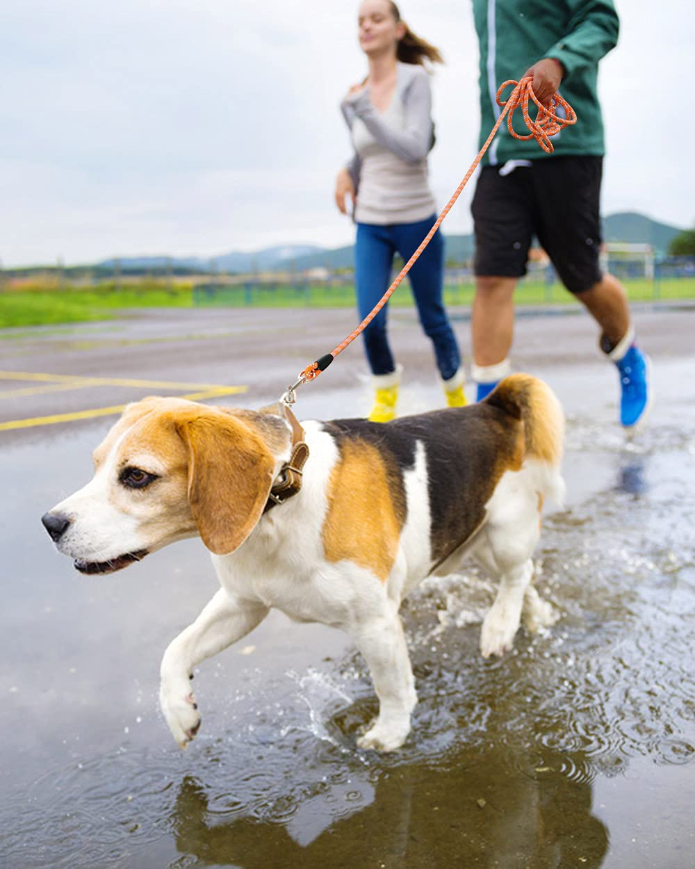 Extra Long Dog Leash for Dog Training, Reflective Threads Check Lead