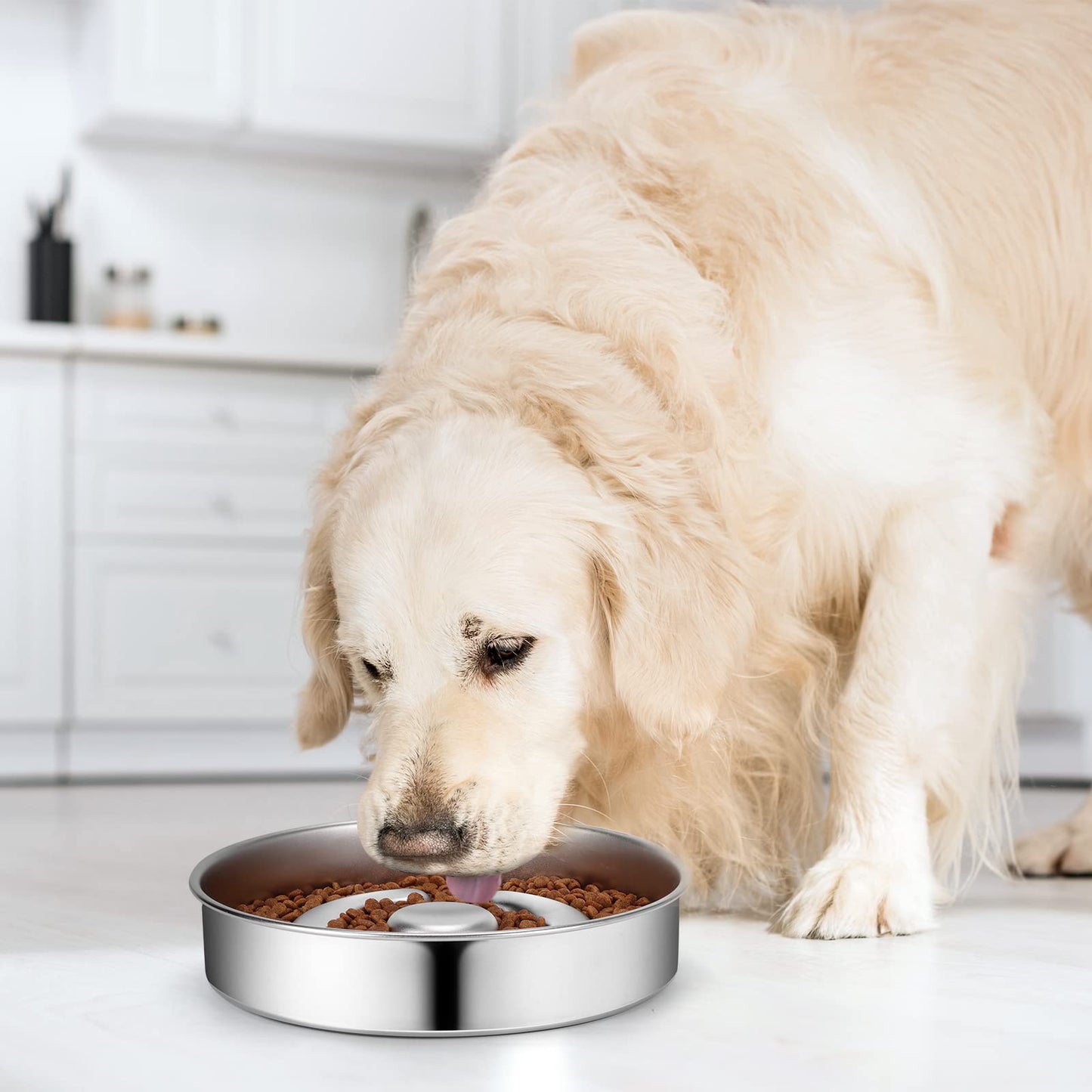 AIPERRO Stainless Steel Non Slip Slow Feeder Dog Bowl, 4 Cups Bowl