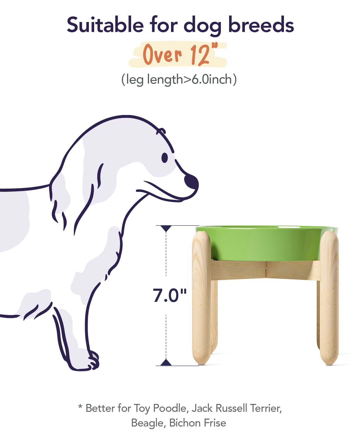 LE TAUCI Ceramic Slow Feeder Dog Bowls Elevated Feeder