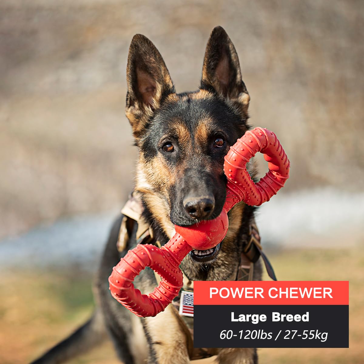 BiteKing Natural Rubber Dog Toys for Large Aggressive Chewers Lifetime