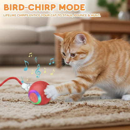 jitaty Interactive Cat Toys for Indoor Cats,Flying Bird Cat Ball
