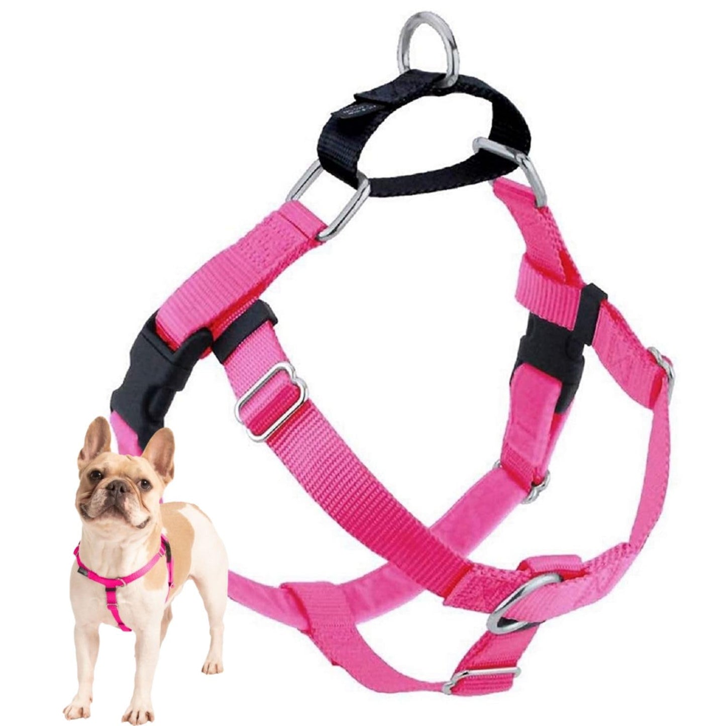 2 Hounds Design Freedom No Pull Dog Harness, Adjustable Harness