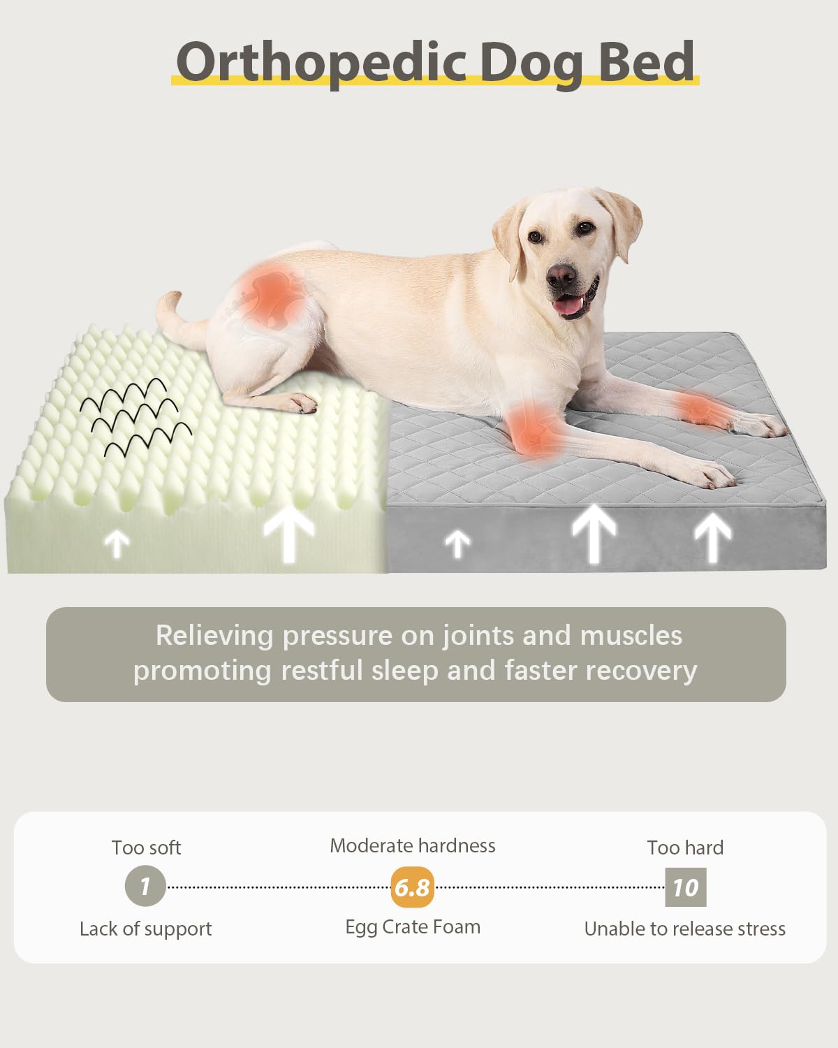NUPIDA Orthopedic XL Dog Beds Large Sized Dog Waterproof Bed