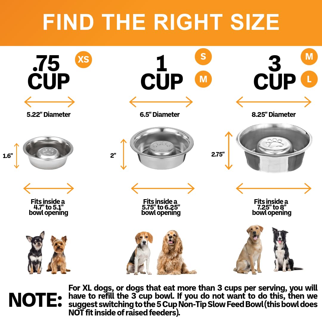Neater Pet Brands Stainless Steel Slow Feed Dog Bowl for Fast Bowl
