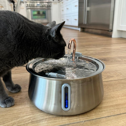 KittySpout Stainless Steel Cat Water Fountain Automatic Drinking Bowl
