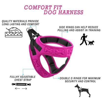 Comfort Fit Dog Harness Soft Padded No Pull Harness with Harness