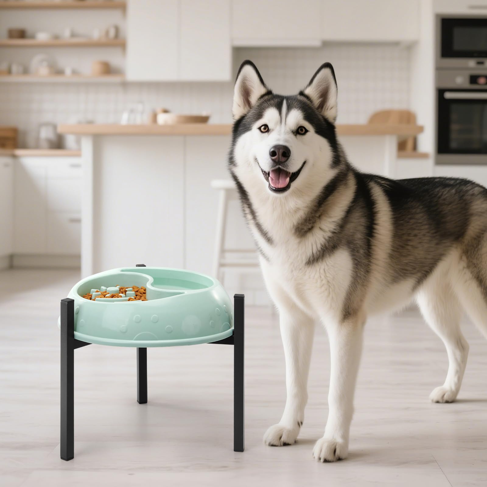 LOOBANI Elevated Dog Bowl Stand: Fits 5.9"-11" Wide Non-Slip Base Bowl