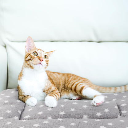 Tierecare 2 Pack Cat Blanket for Indoor Cats Ultra Soft and Warm Bed