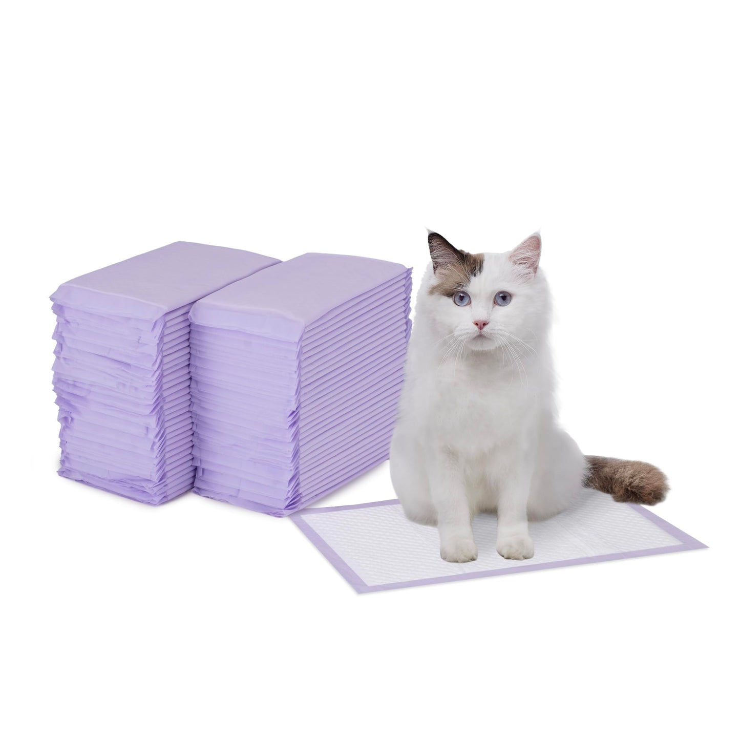 Amazon Basics Cat Pad Refills for Litter Box, Fresh Scent Box