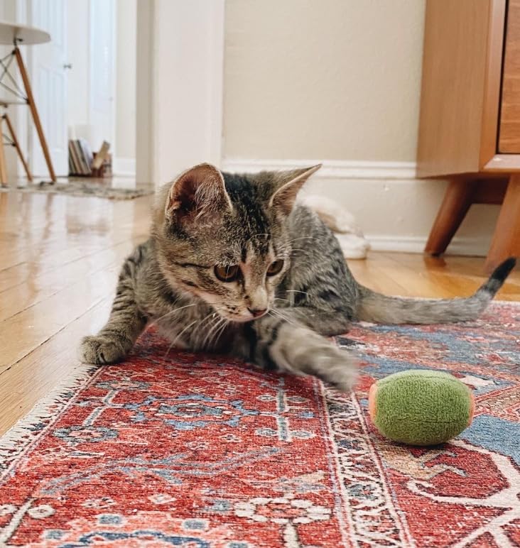 munchiecat Cat Toy Set 2-Piece Organic Catnip Toys with Soft Catnip