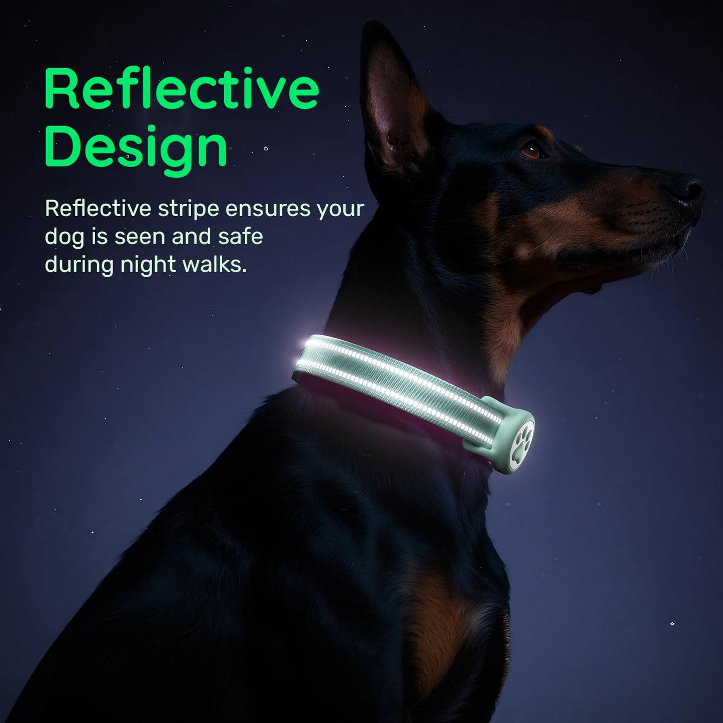 Apple Tag Holder Dog Collar, Reflective Ultra-Durable Nylon Collar