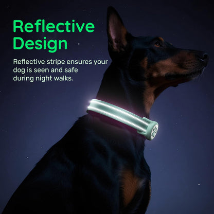 Apple Tag Holder Dog Collar, Reflective Ultra-Durable Nylon Collar