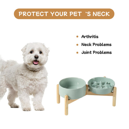 Havniva Ceramic 0.9 Cup Raised Slow Feeder Dog Bowl Set, Elevated Bowl