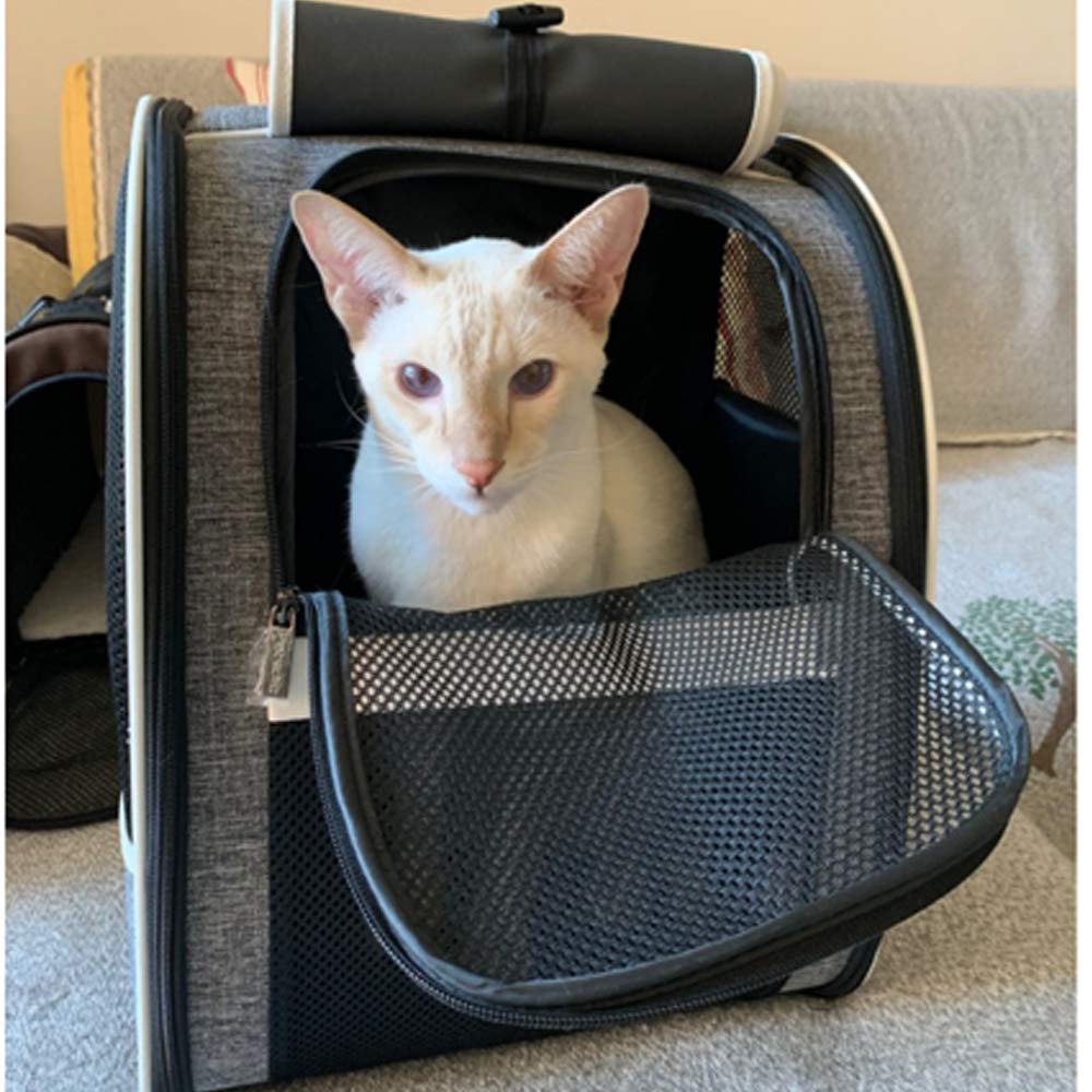 Texsens Pet Carrier Backpack with Window Blind Carrier