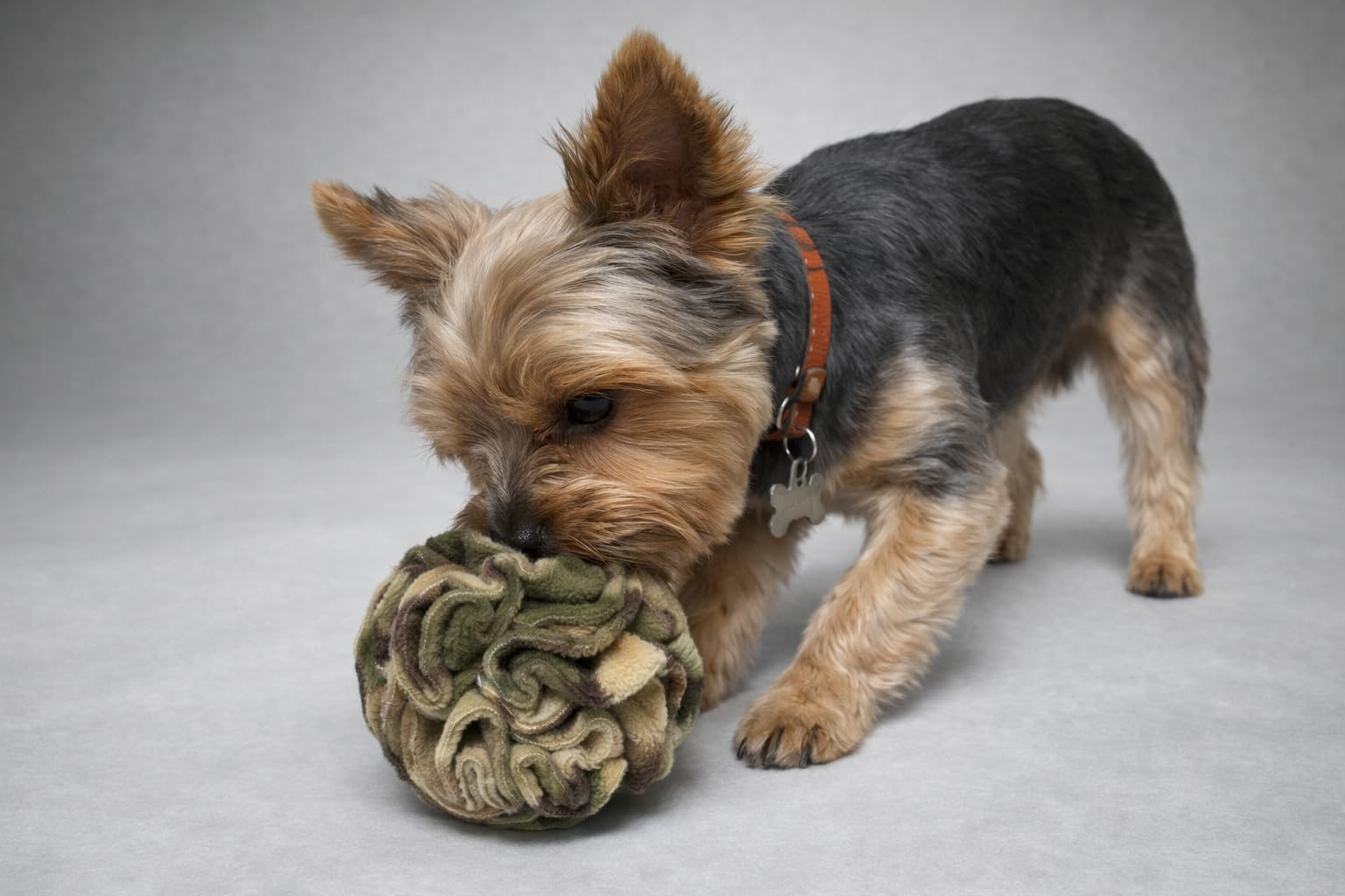 Glory To Dog Puppy and Small Breed Snuffle Interactive Foraging Ball