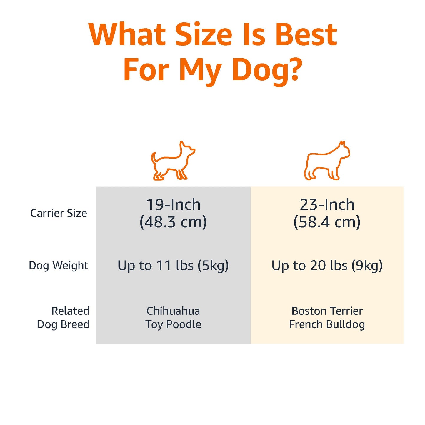 Amazon Basics Sturdy Portable 2-Door Top-Load Hard-Sided Pet Carrier