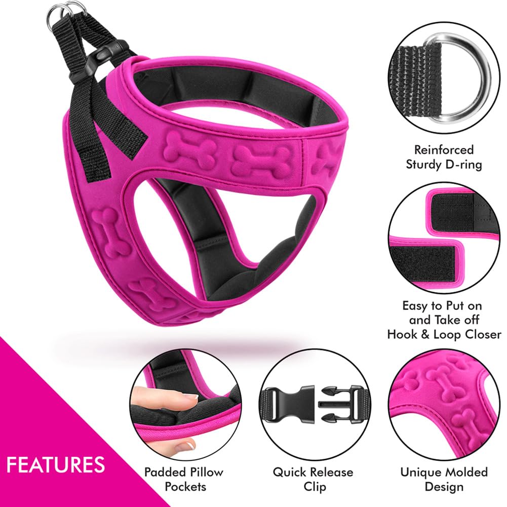 Comfort Fit No Pull Dog Harness