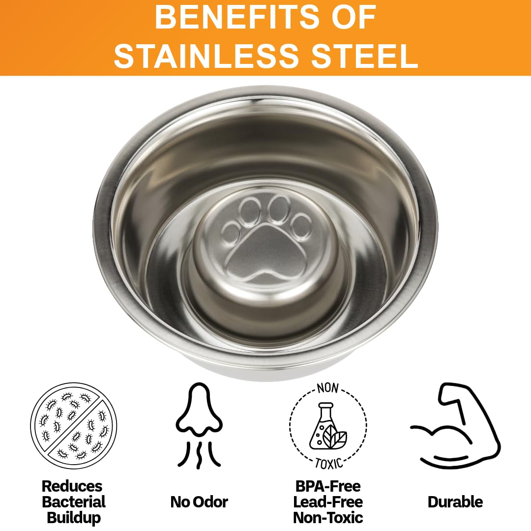 Neater Pet Brands Stainless Steel Slow Feed Dog Bowl for Fast Bowl
