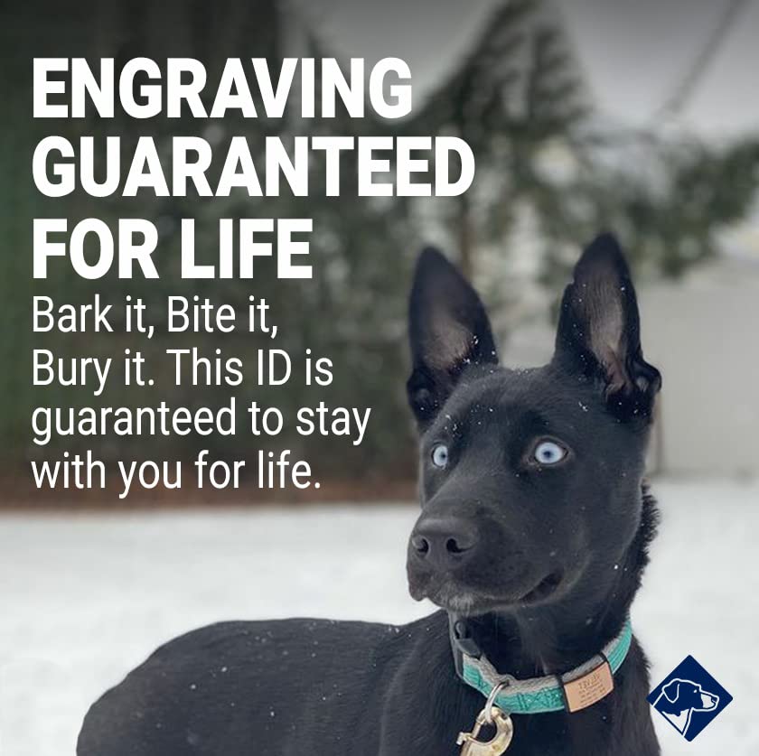 Personalized Dog Tags by ROAD iD, Silent Durable, Jingle-Free Collar