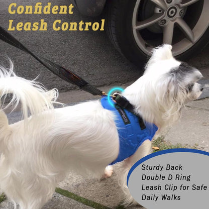 Comfort Fit Dog Harness No Pull with Adjustable Buckles Soft Harness