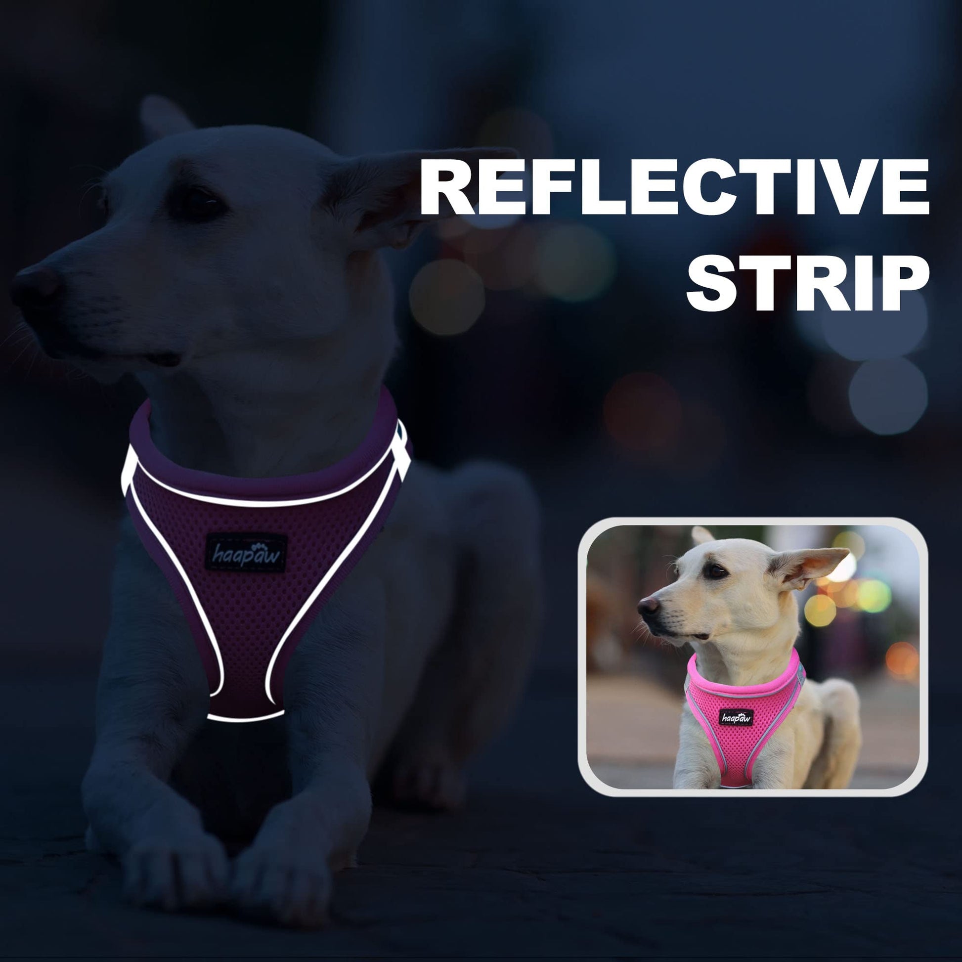 haapaw Dog Harness with Leash Set, No Pull Adjustable Reflective Set