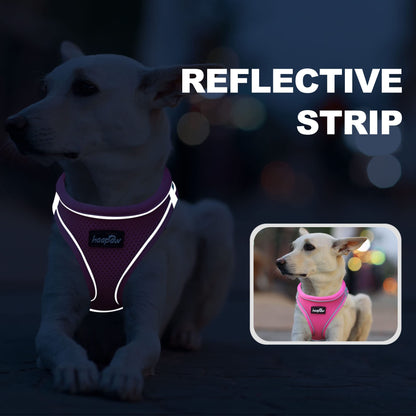 haapaw Dog Harness with Leash Set, No Pull Adjustable Reflective Set