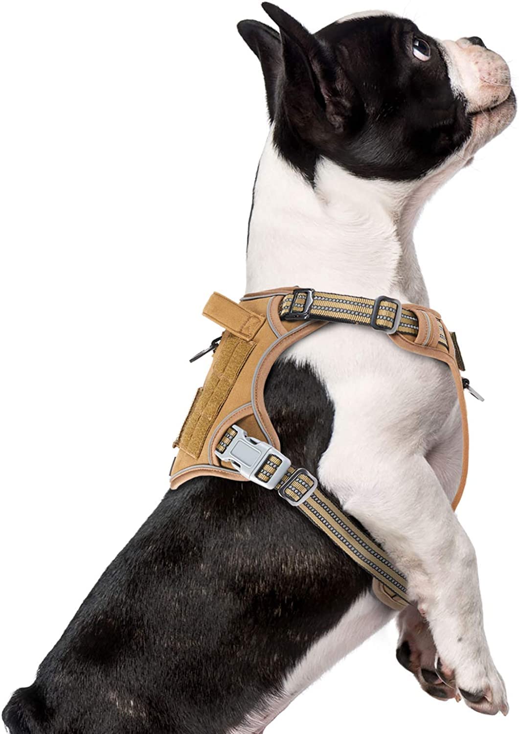 BUMBIN Dog Harness, Tactical XS, No Pull, Adjustable, Harness