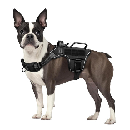 Small Dog Harness, Heavy Duty Tactical No Pull Dog Harness, No Harness