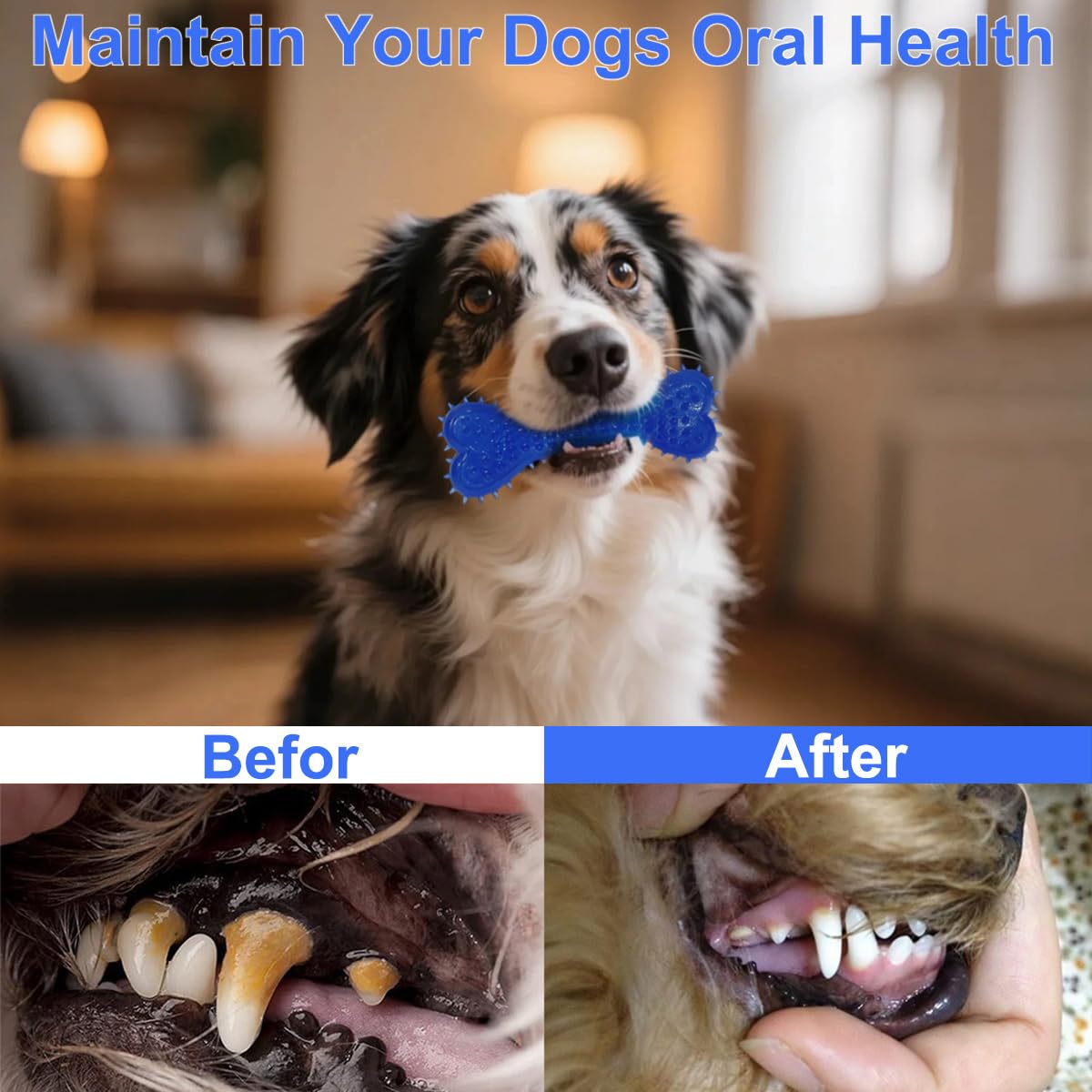 Mnubsrva Dog Toys 15 Pack for Teeth Cleaning and Fun, Puppy Chew