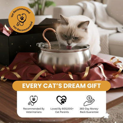 KittySpout Stainless Steel Cat Water Fountain Automatic Drinking Bowl