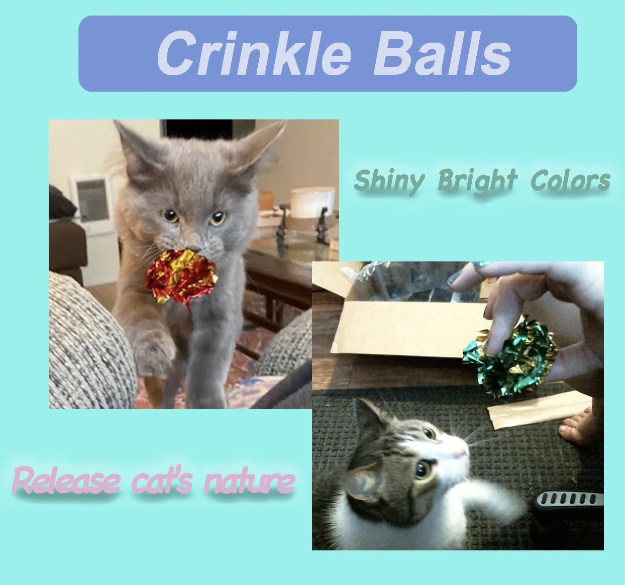POSAPET Cat Toys Assortment Interactive Kitten Toy Bundle with Balls