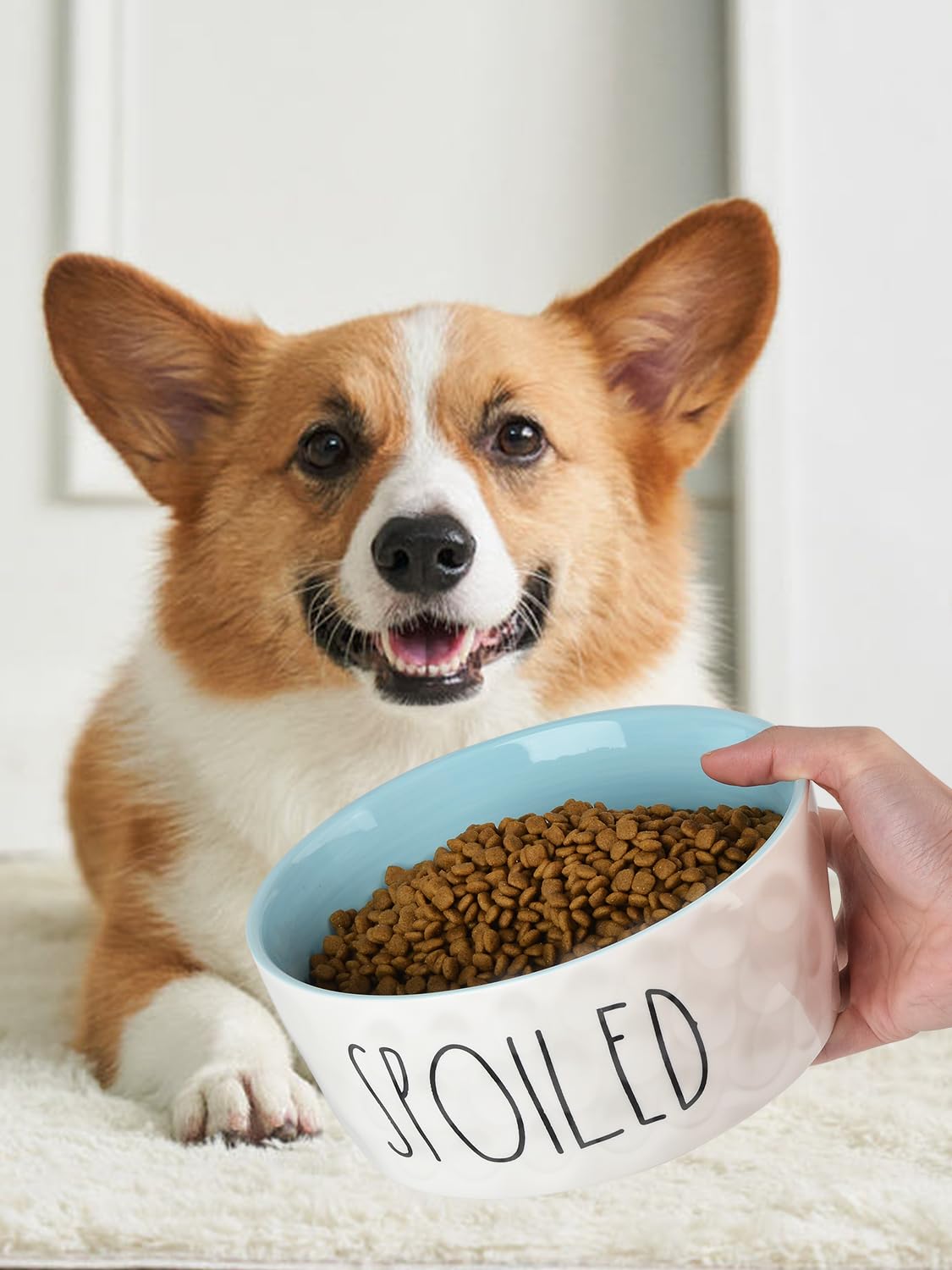 WoofinPets Ceramic Dog Bowl Small Food Water Bowl, Heavy Duty Bowl