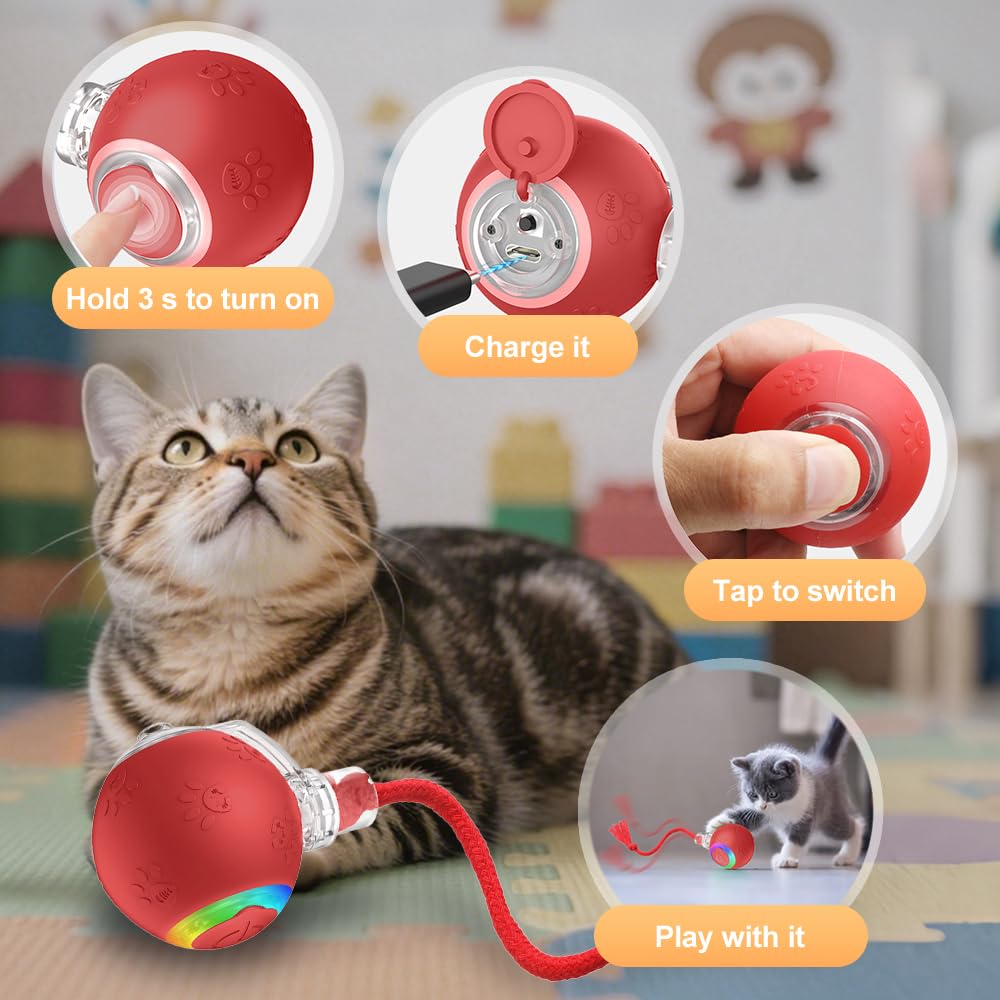 jitaty Interactive Cat Toys for Indoor Cats,Flying Bird Cat Ball