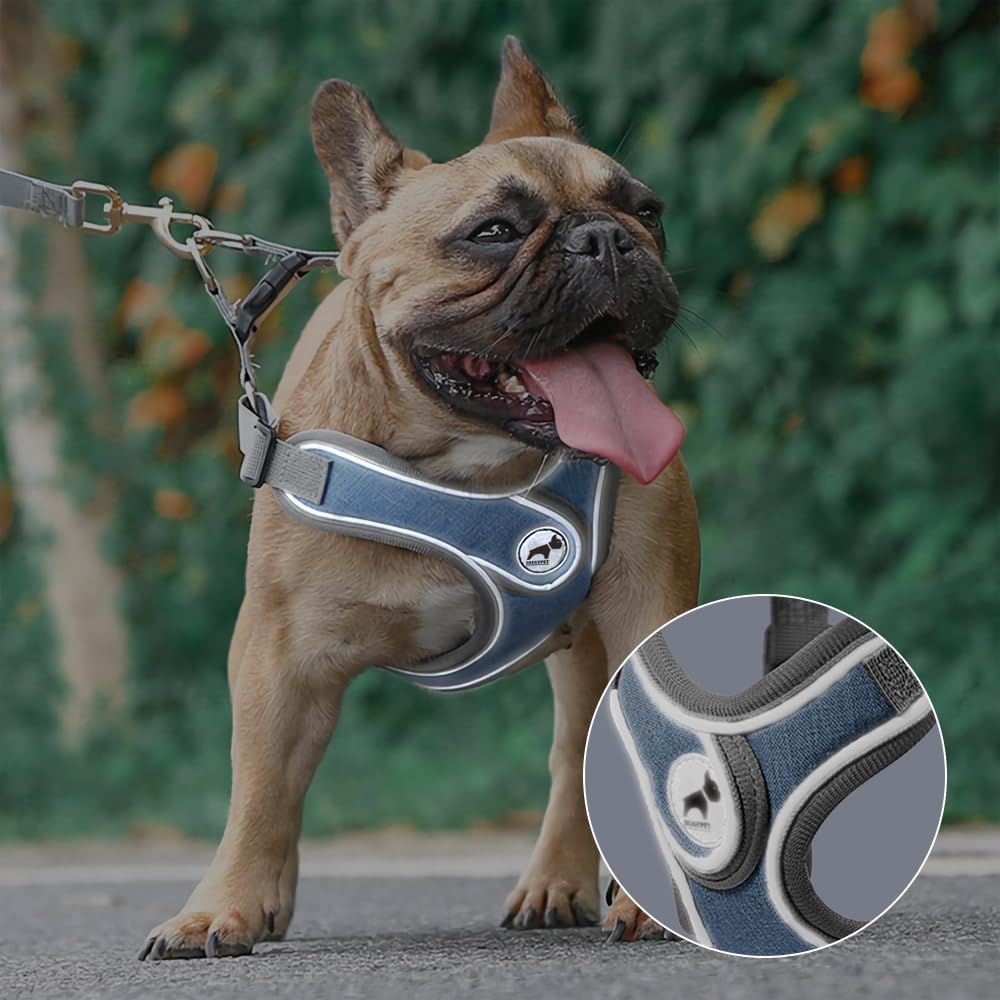 Dog Harness with Leash Set, No Pull Adjustable Step in Dog Collars Set