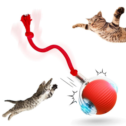 OYSMY Interactive Rotating Cat Ball Toy, 360 Smart Rolling Ball