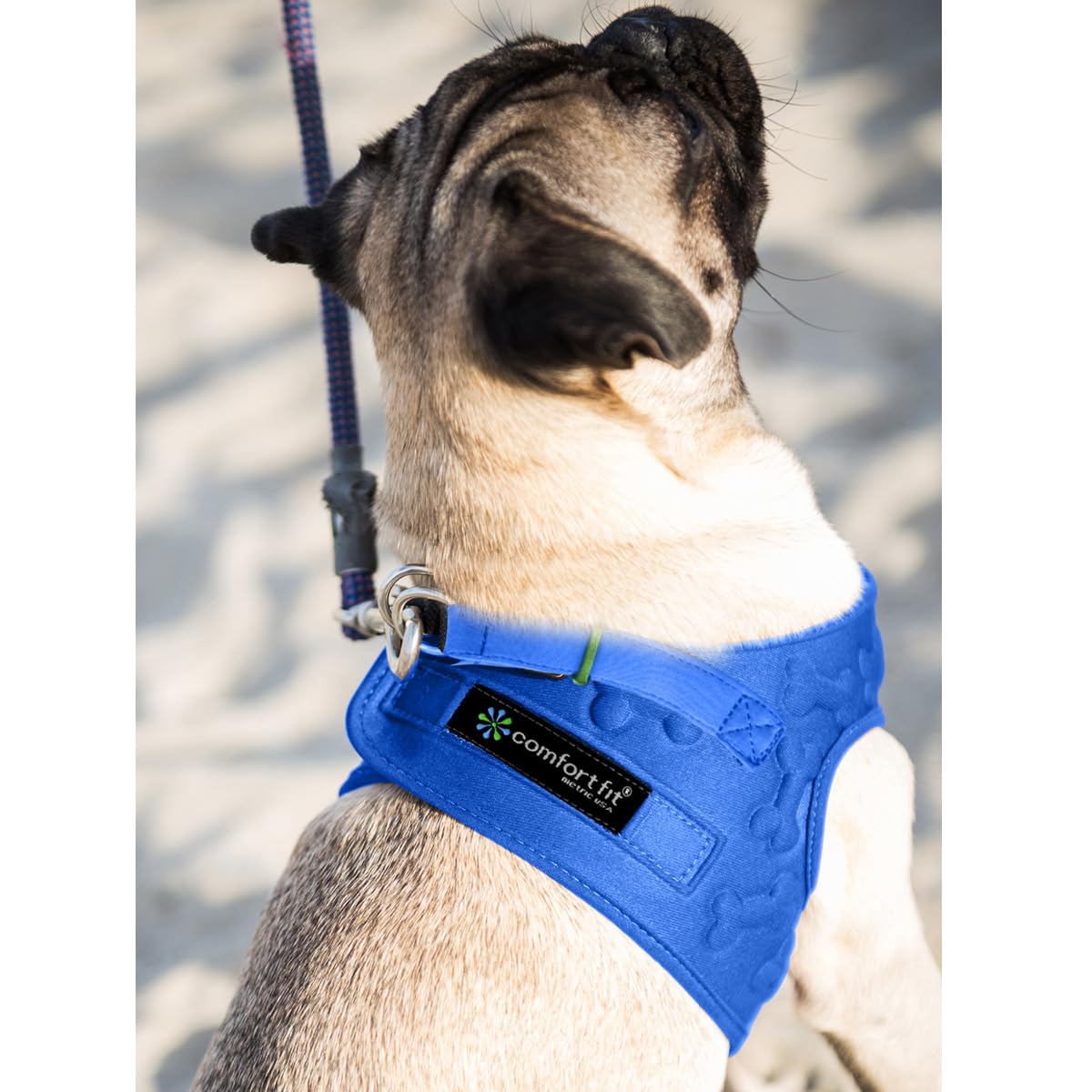 Comfort Fit Dog Harness Small Medium Sized Dogs No Pull Step Harness