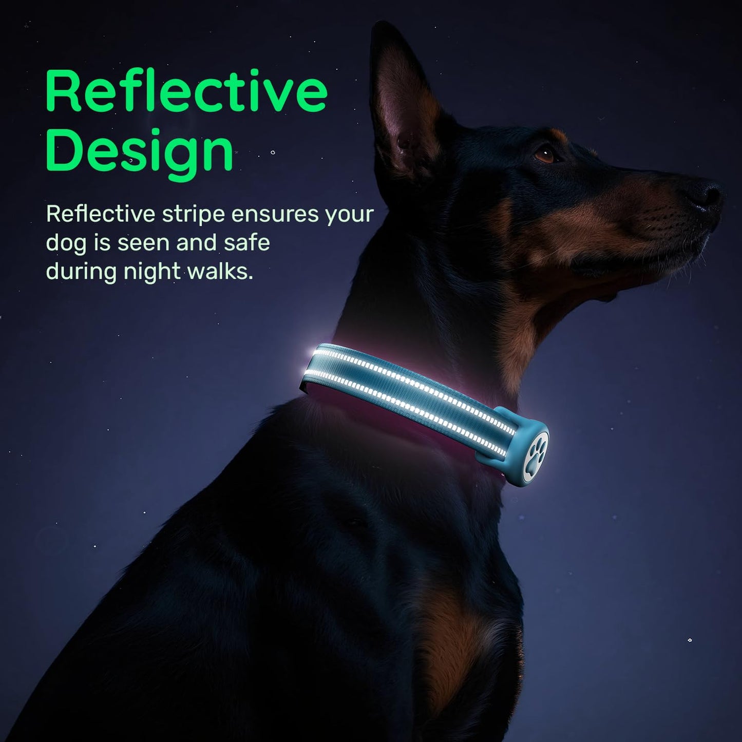 Airtag Dog Collar, Reflective Ultra-Durable Nylon Padded with Collar