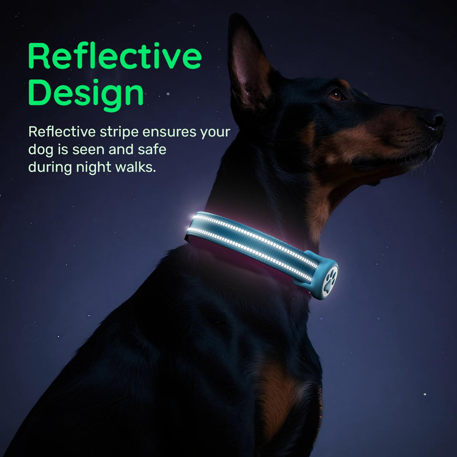 Airtag Dog Collar, Reflective Ultra-Durable Nylon Padded with Collar