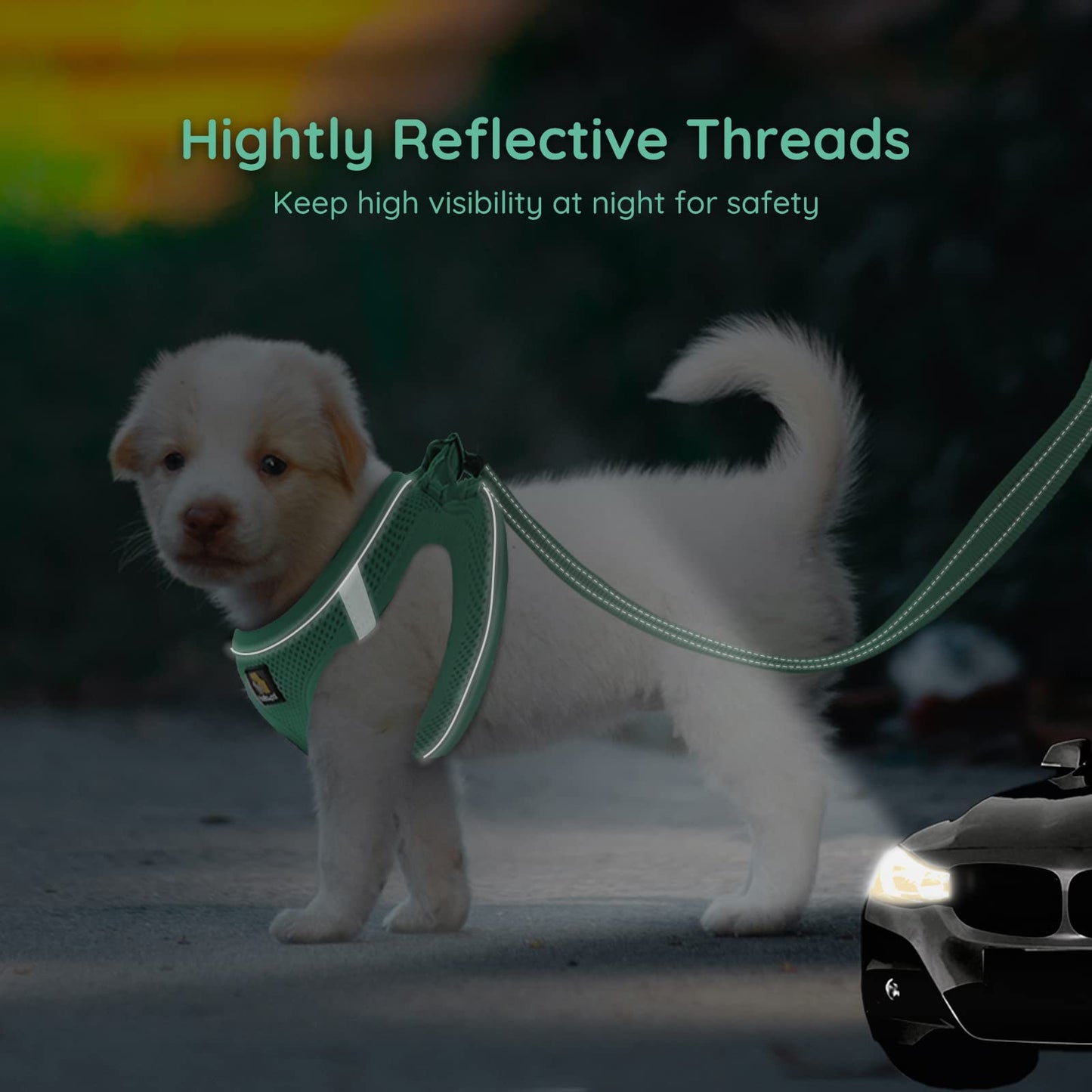 BELLA PAL Small Emerald Dog Harness with Leash Set, No Pull, Step Set