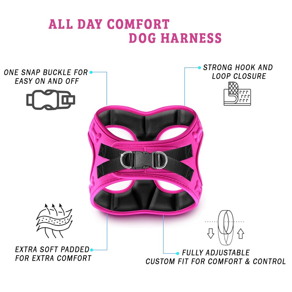 Comfort Fit No Pull Dog Harness