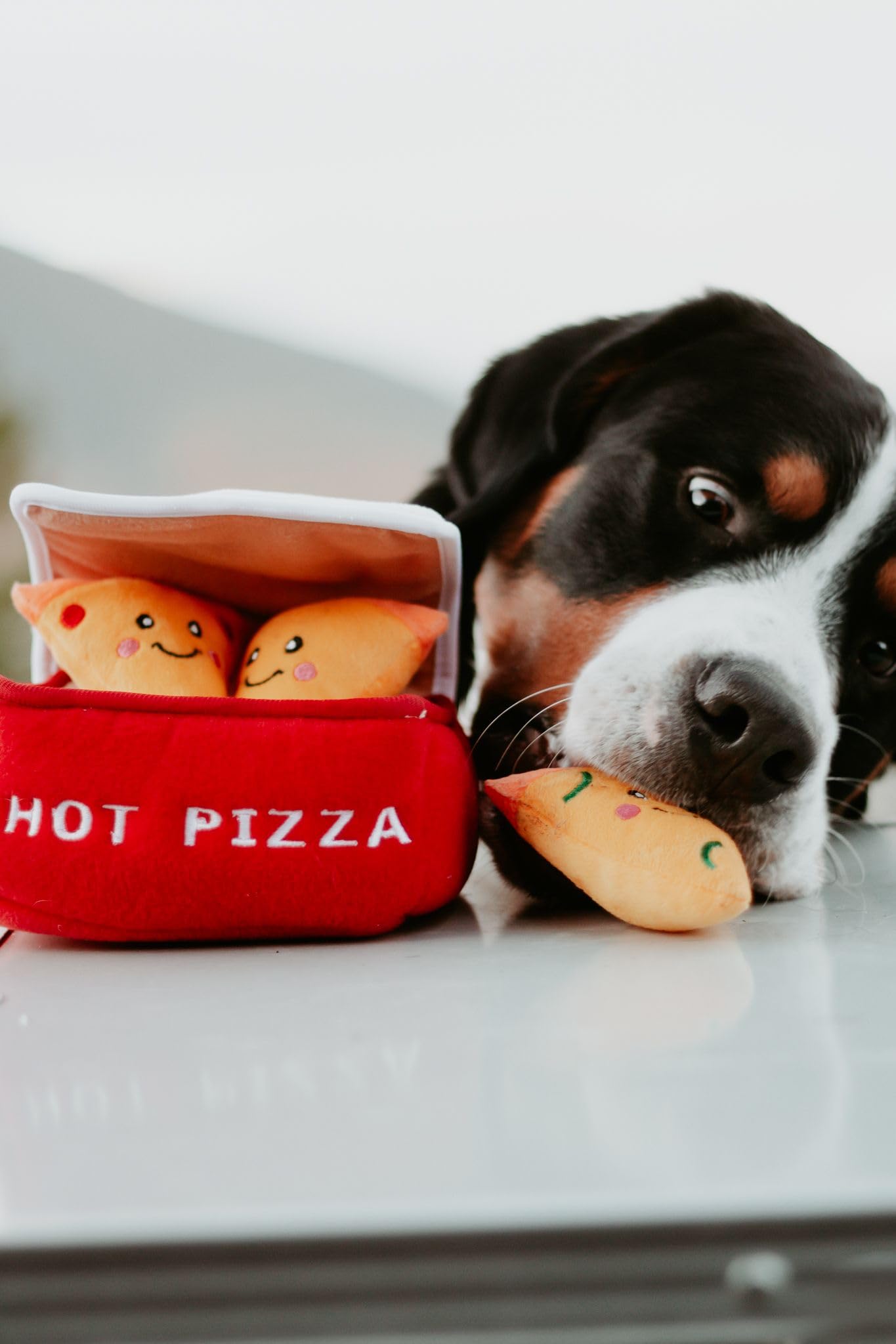 ZippyPaws Burrow- Interactive Dog Puppy Toys for Boredom, Plush
