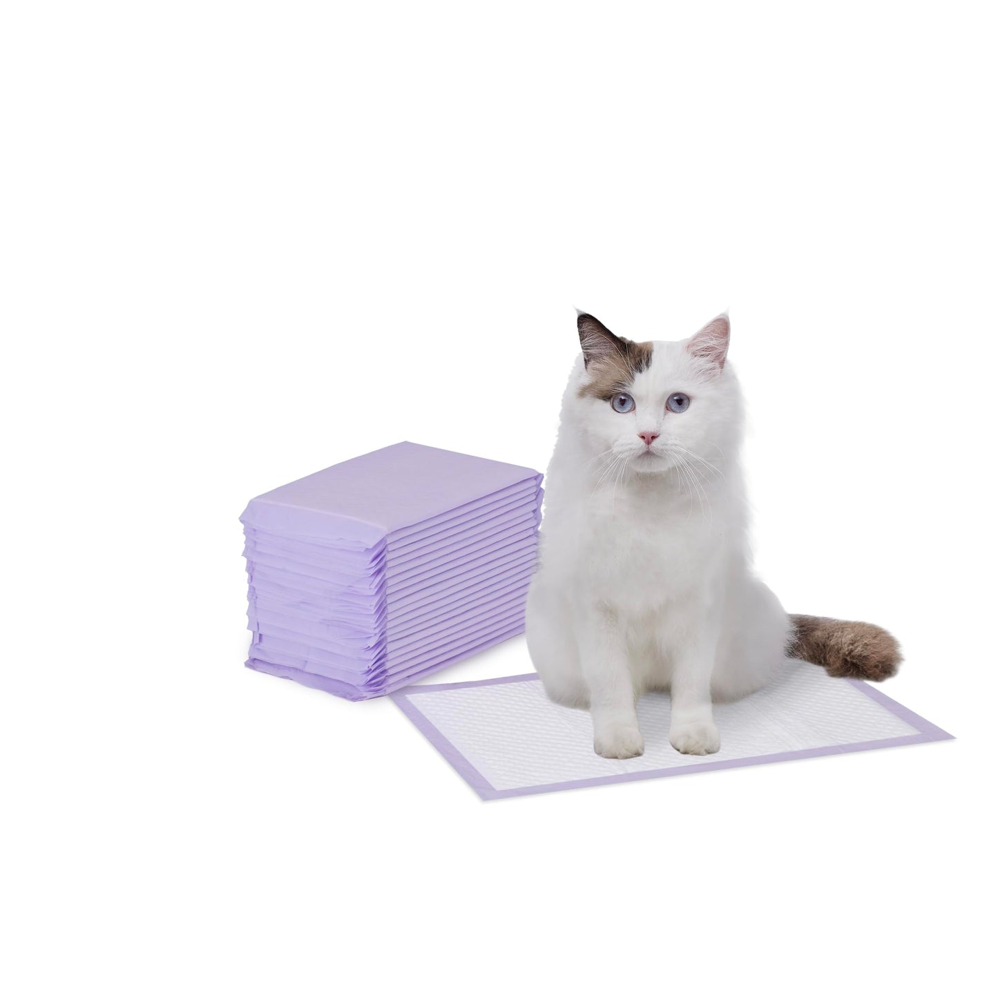 Amazon Basics Cat Litter Pee Pads, Super Absorbent, Odor Control Box