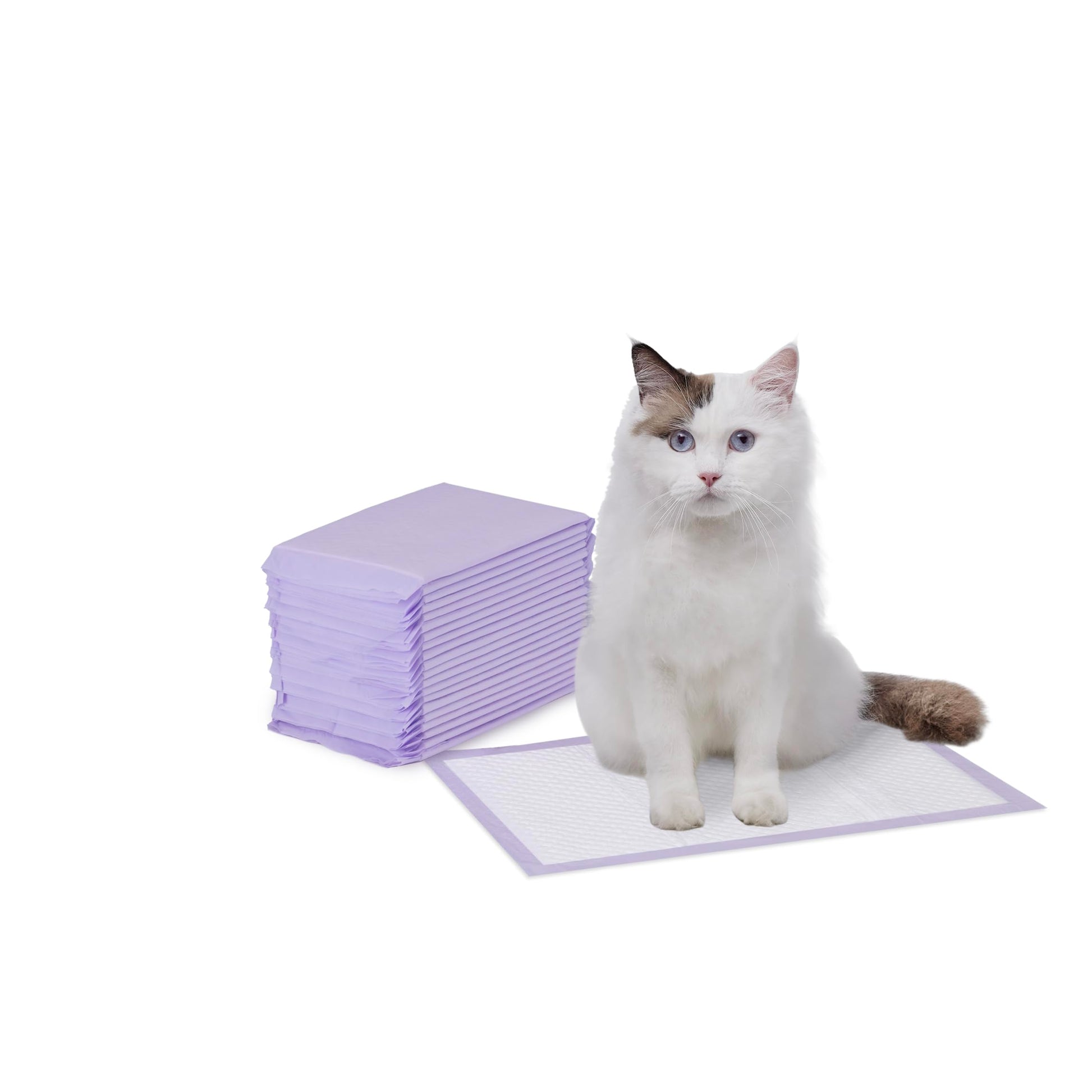 Amazon Basics Cat Litter Pee Pads, Super Absorbent, Odor Control Box