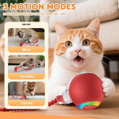 Mucpad Interactive Cat Toy,Cat Toys for Indoor Cats,Automatic Ball