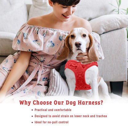Comfort Fit No Pull Step-in Dog Harness XS Harness