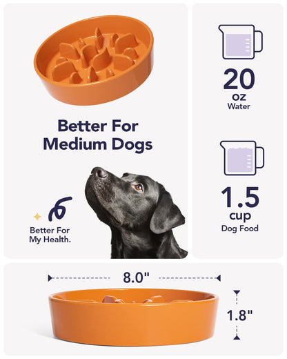 LE TAUCI Dog Bowls Slow Feeder Ceramic, 1.5 Cups Slow Feeding Dog Bowl