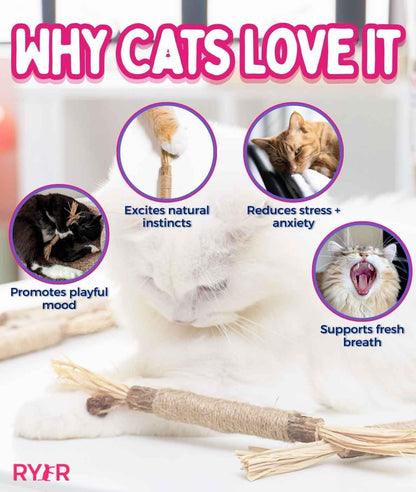 RYERCAT Silvervine Sticks for Cats Natural Cat Chew Toy for Toy