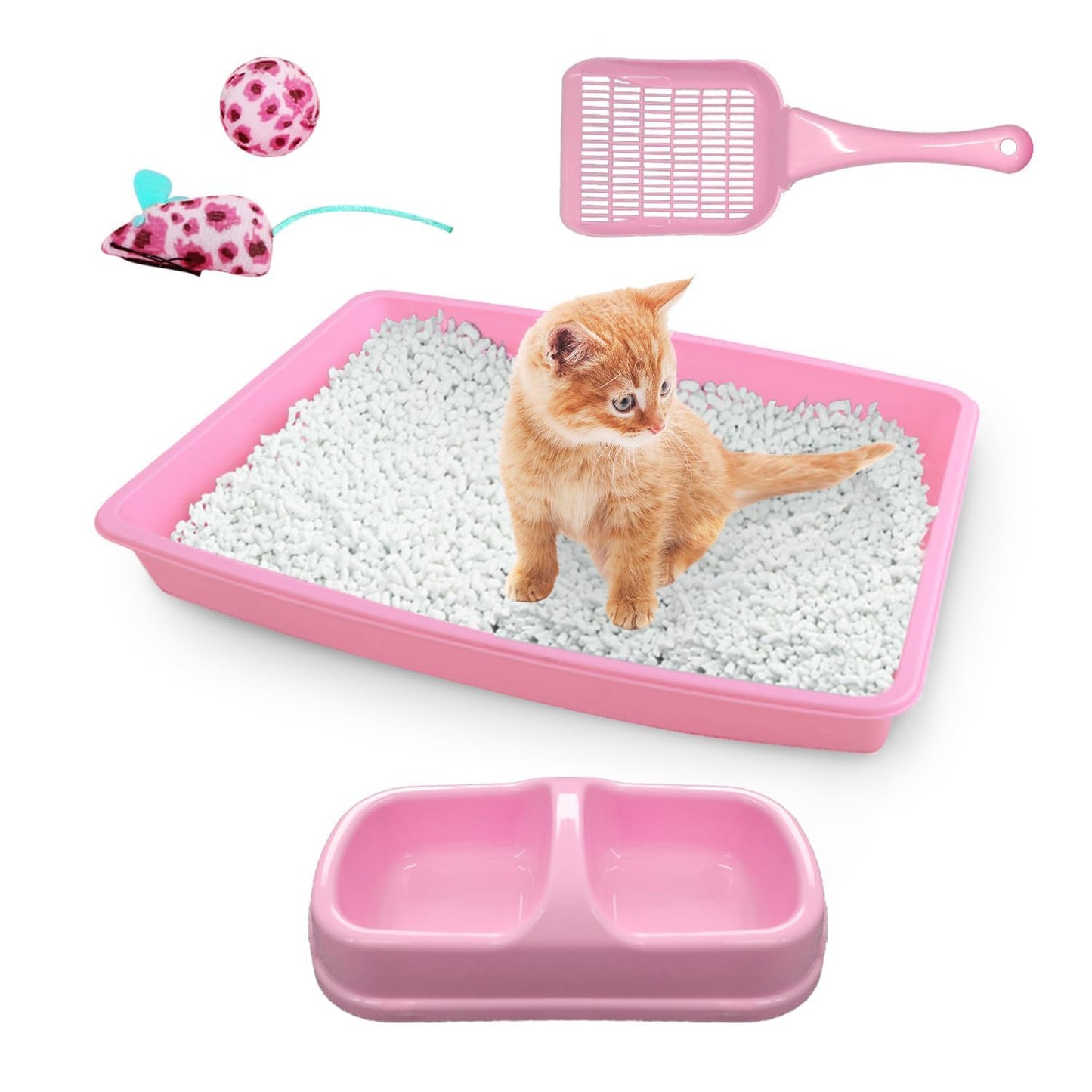 PAWISE Cat Litter Box Set, Small Kitten Starter Kit, Includes Litter