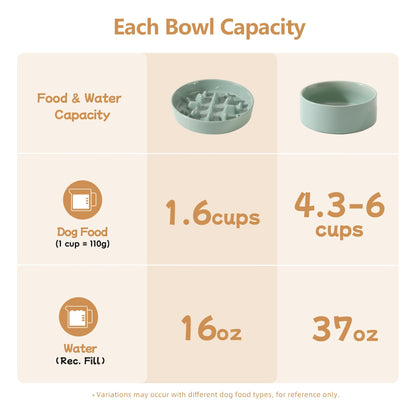 Havniva Ceramic Raised Slow Feeder Dog Bowl Set, Elevated Bowl
