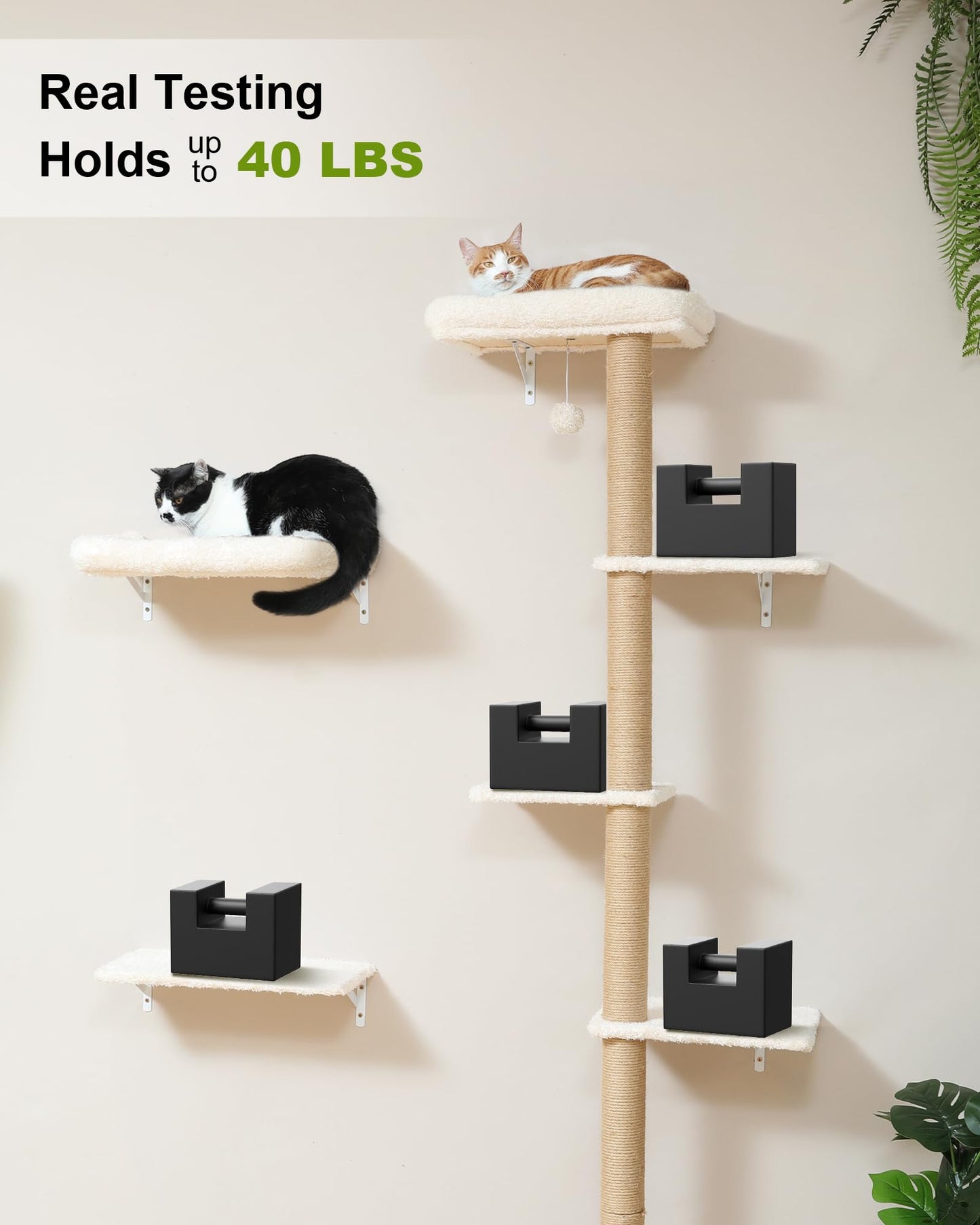 FUKUMARU Cat Wall Shelves Set, Stable Wall Mounted Tree, Cushion